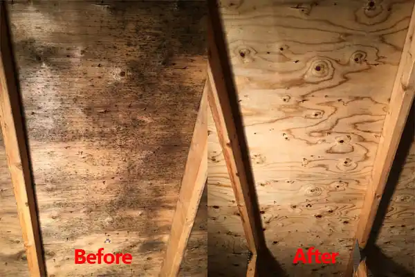 water damage restoration service Bourg